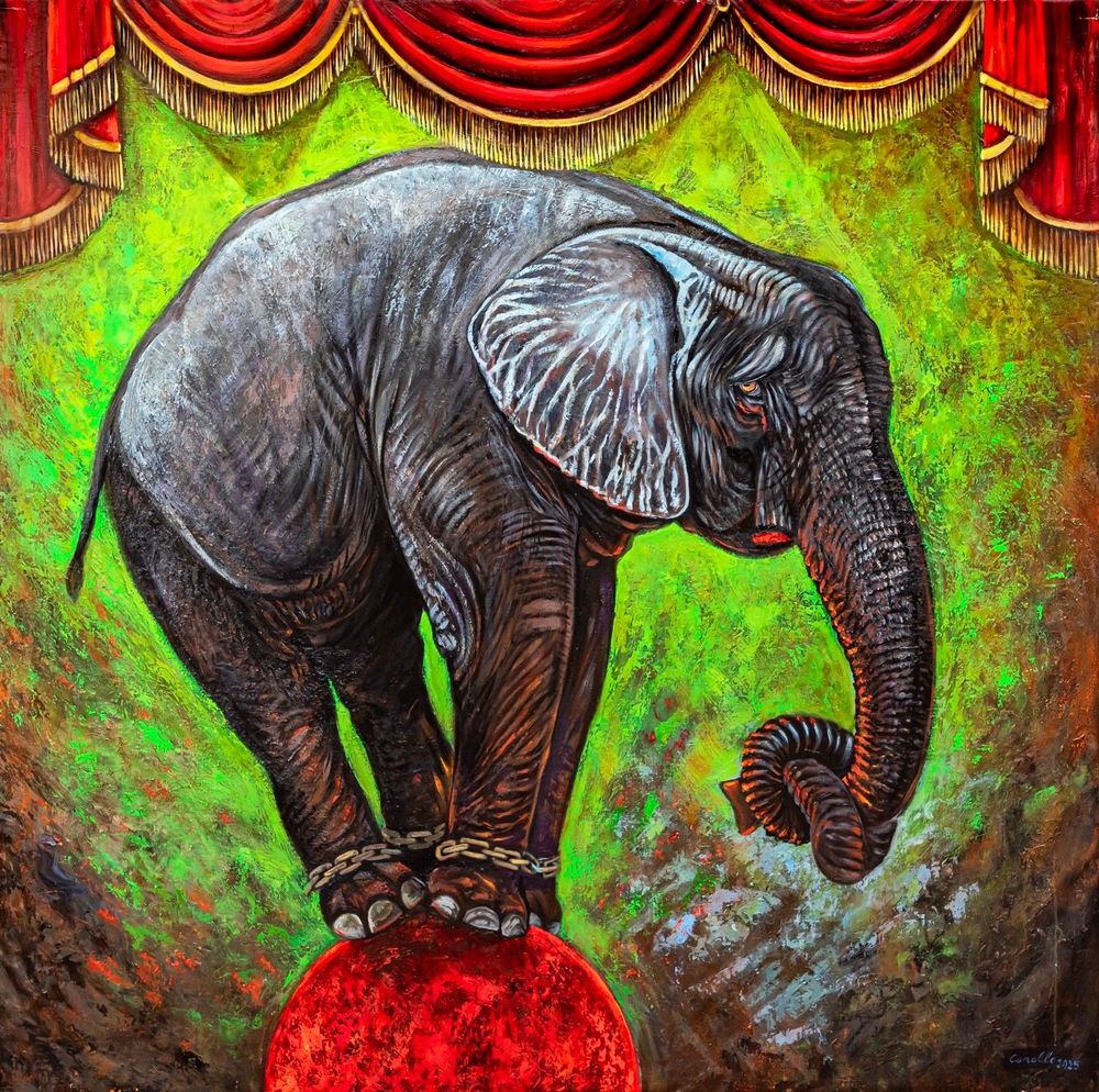 African Forest Elephants