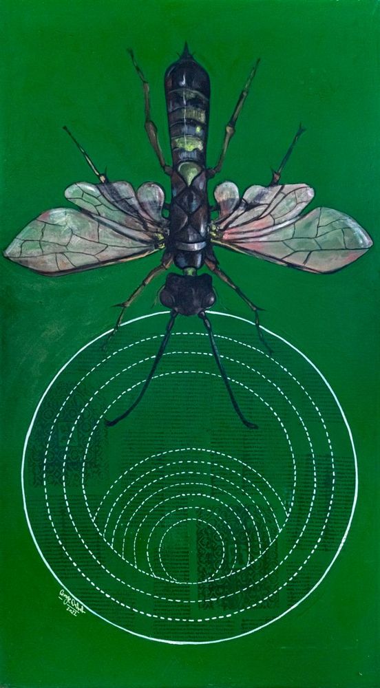Cephoidea