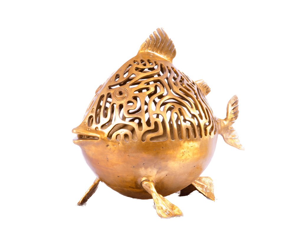 A FISH IN SEARCH OF A RIVER THAT HAS DRIED