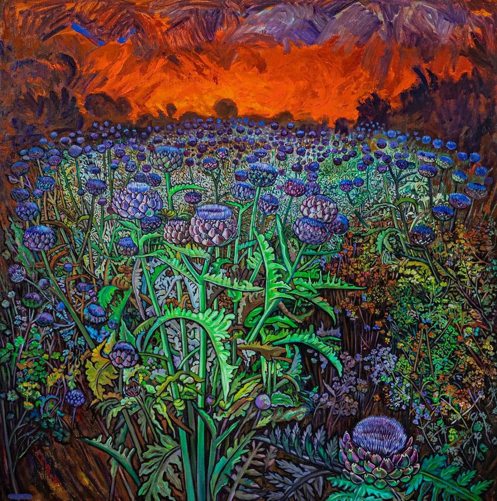 Artichokes field